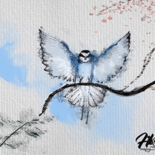 haenley pierre drawing