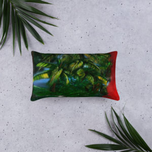 Green & Red Pillow